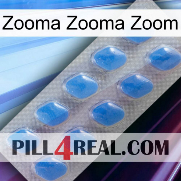 Zooma Zooma Zoom 22